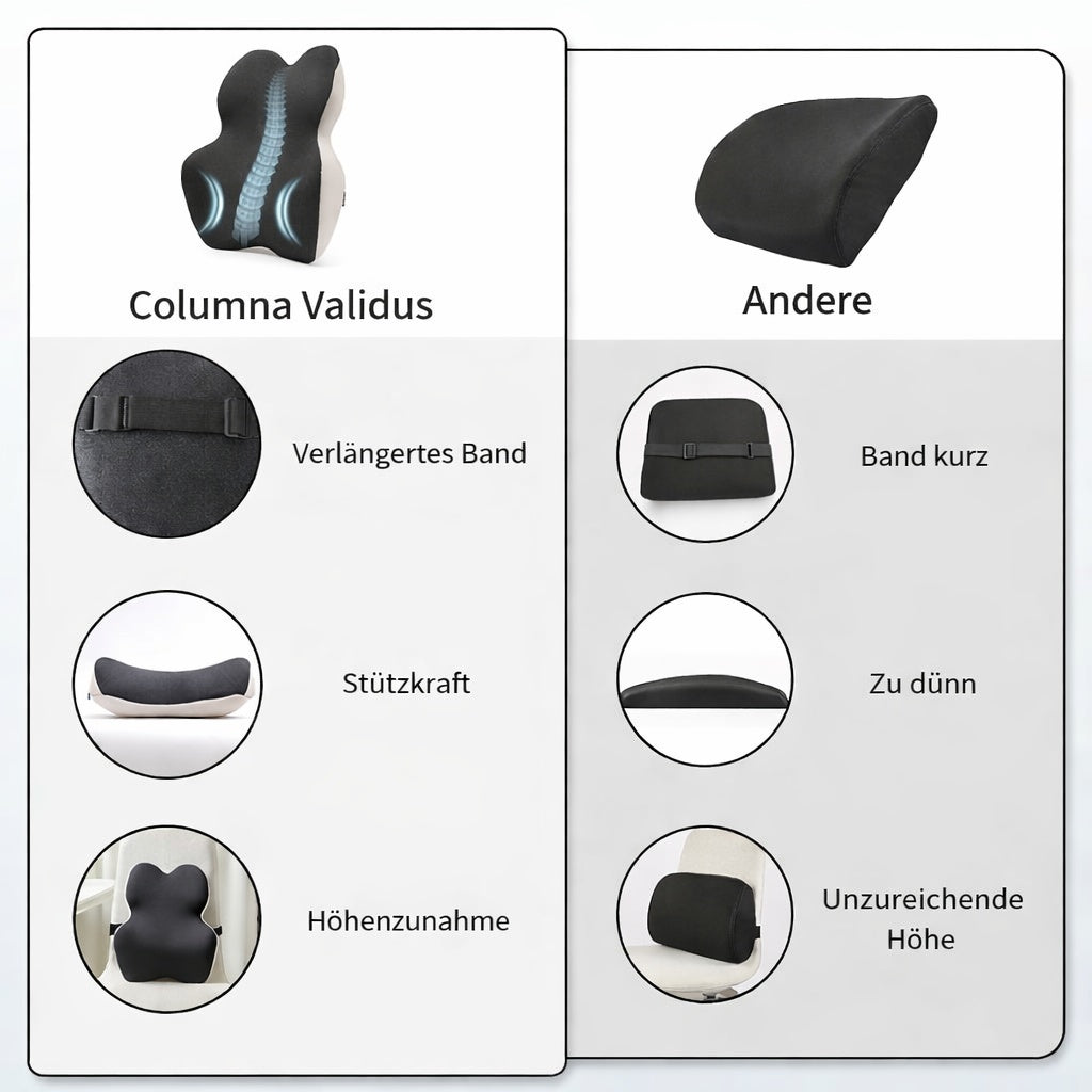 Ergonomisches Rückenkissen
