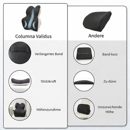 Ergonomisches Rückenkissen